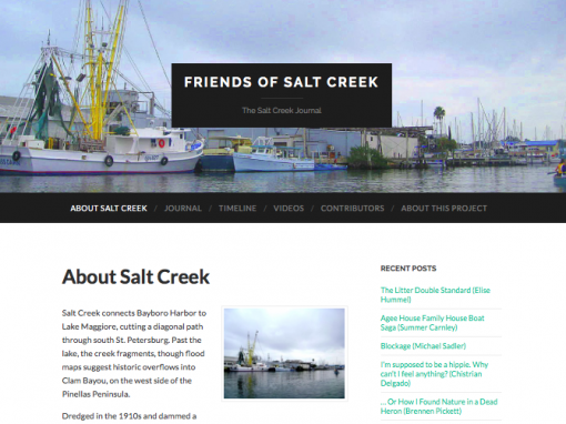 Friends of Saltcreek